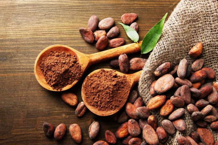 cacaoyer