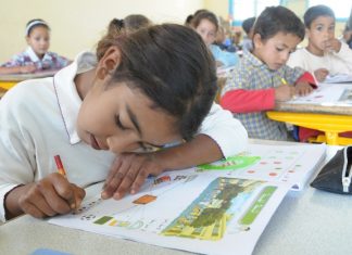 Enseignement : Le gouvernement dément la fin de la gratuité !