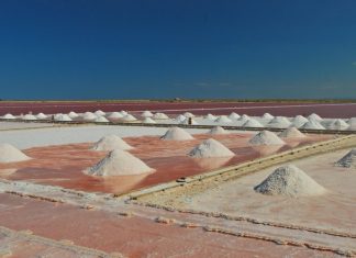 Agroalimentaire : Le Groupe Derham poursuit son offensive