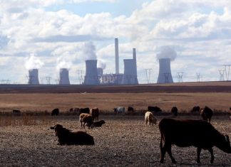 Environnement : L’ Afrique du Sud parmi les pires pollueurs du monde