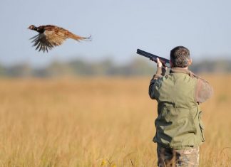 Casablanca : La nouvelle saison de chasse s’ouvre ce dimanche