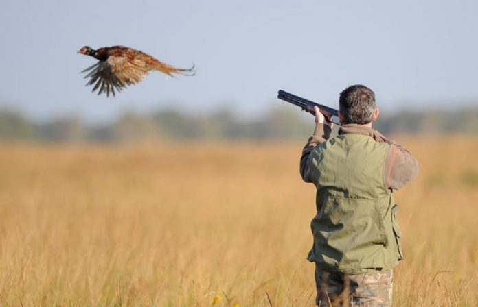 chasse