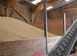 Blé : Le stock marocain couvre 4,3 mois des besoins