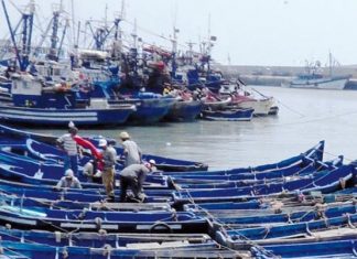 Pêche : 5 MMDH de produits débarqués en 8 mois dans les ports marocains
