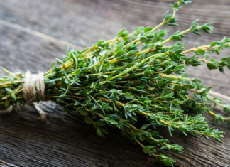 Plantes médicinales et aromatiques : Le Maroc au 12ème rang mondial