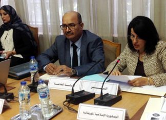 Santé : Distinction arabe pour la Marocaine Khadija Hajjouji