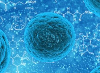 Médecine/cellules souches : Une 1ère continentale à Rabat