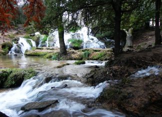 Environnement : Ifrane classée ‘‘meilleure ville propre d’Afrique’’