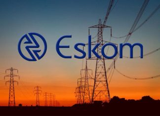 Crise de l’électricité/Afrique du Sud : Eskom sollicite l’intervention de l’Etat