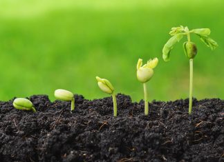 Plan Maroc Vert : Plus de 5,6 MMDH d’investissements à Beni-Mellal