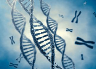 ISO : Et de 2 pour l’Institut Pasteur Maroc