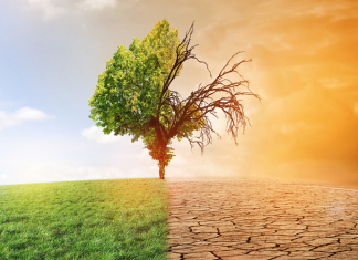 Ghana : Le PNUD débloque 2,7 M$ pour lutter contre le changement climatique