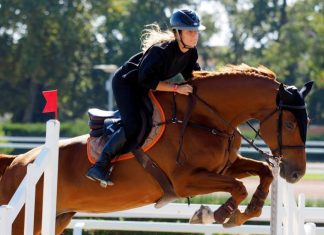 Sports équestres : Le Morocco Royal Tour s’offre une vitrine parisienne