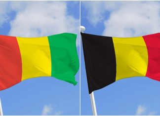 Guinée : Les Belges débloquent plus de 50 millions de dollars