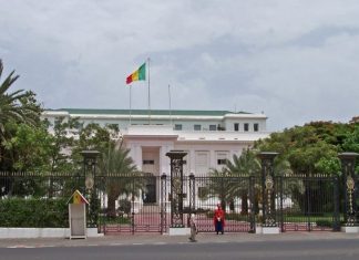 Présidentielle au Sénégal : Un premier groupe de 28 observateurs déployé par l’UE