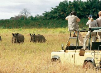 Kenya : Plus de 2 millions de touristes ont visité le pays