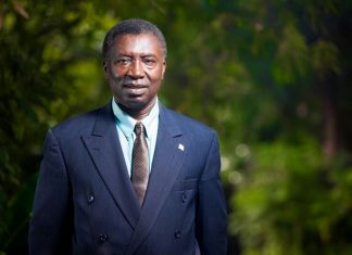 Ghana : Vers la plantation de 10 millions d’arbres pour lutter contre le changement climatique