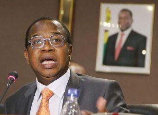 Zimbabwe : Le gouvernement veut lever 350 millions de dollars en cédant des actions d’entreprises publiques