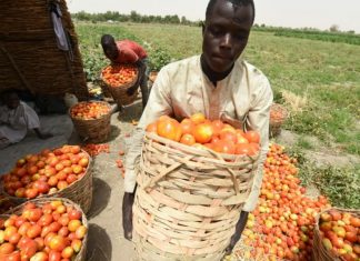 Afrique de l’Est : Vers la création d’une alliance parlementaire pour la sécurité alimentaire et la nutrition
