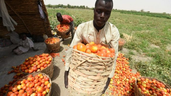 alimentaire et la nutrition