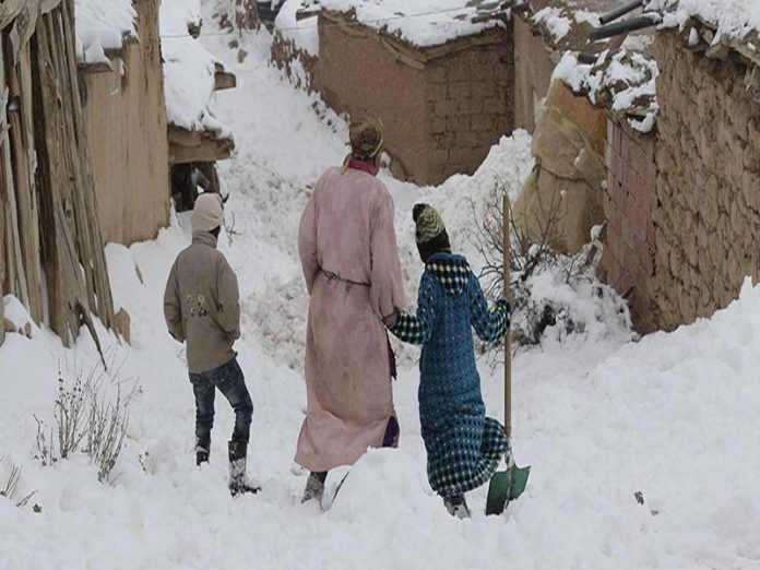 Lutte contre le froid