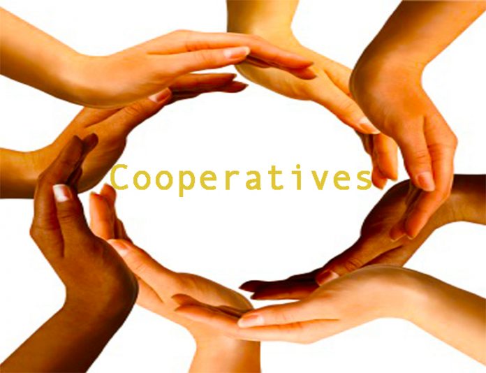Multiracial Hands Making a Circle