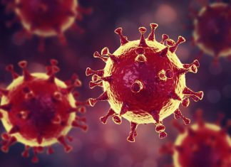 Bon à savoir : Les personnes atteintes de Covid-19 peuvent développer jusqu’à 6 mois d’immunité