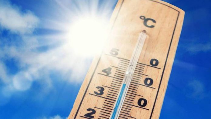 canicule