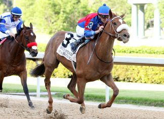 Swiss Skydiver grande gagnante des 145ème Preakness Stakes de hippisme