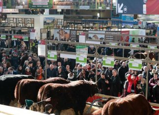L’édition 2021 du Salon international de l’Agriculture de Paris annulée
