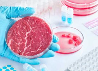 Singapour autorise la vente de la viande artificielle, une 1ère mondiale