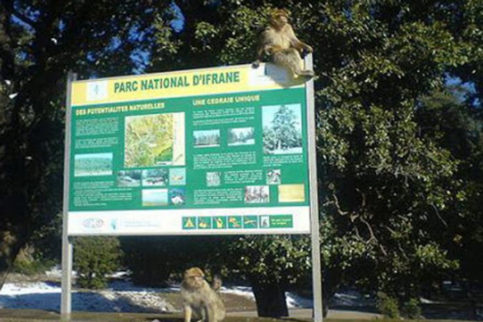 Biodiversité