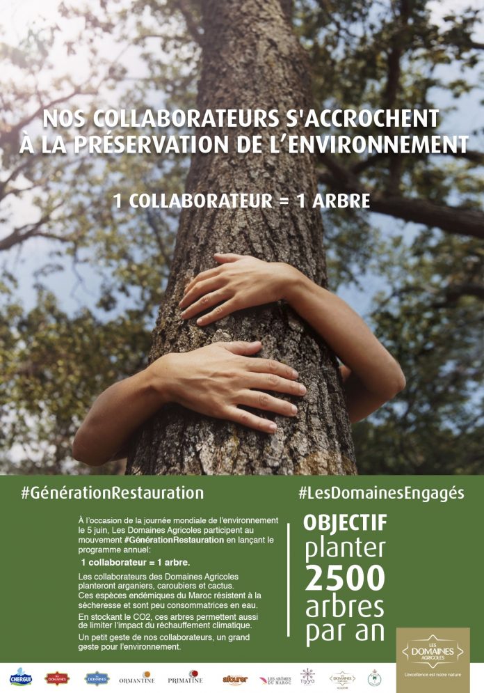 Affiche VF