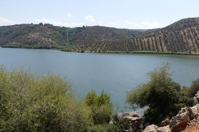 oued Sebou