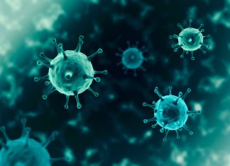 La présence du variant Omicron en Côte d’Ivoire confirmée