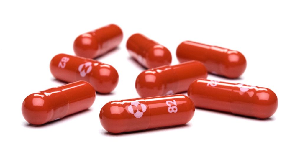 Molnupiravir