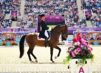 Le cavalier marocain Yessin Rahmouni se qualifie à la finale de la Coupe du Monde en dressage