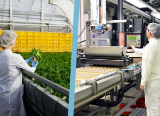 Le Maroc, modèle africain des systèmes alimentaires