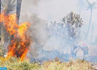 Forêts. Alerte aux incendies dans plusieurs provinces, mardi et mercredi !