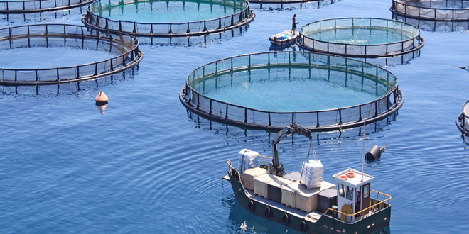 aquaculture-marine23-1