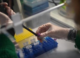 Première mondiale, du sang créé en laboratoire transfusé à des volontaires