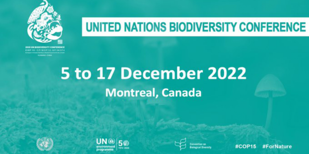 COP15 Montréal