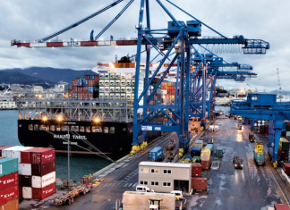 PLF 2024. La fiscalité pour verdir les importations