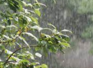 Météo. Pluies et orages au programme dans quelques provinces