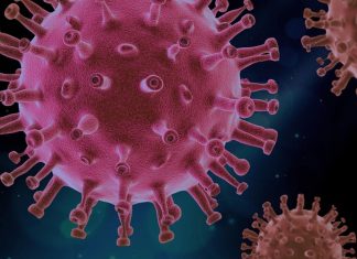Covid-19. L’OMS-Europe lance un warning