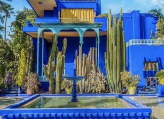 Marrakech: le Jardin Majorelle souffle sa 100e bougie