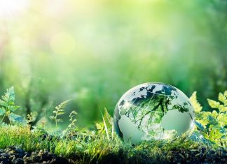 Journée mondiale de l’environnement. L’édition 2023 se tiendra en Côte d’Ivoire