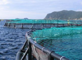 Pêche et aquaculture. L’Agence nationale des eaux et forêts trace un plan d’action africain