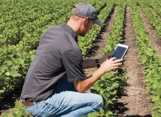 Concours AGRIYOUNG INNOVATE. Quatre startups primées