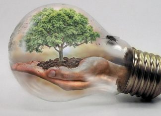 Efficacité énergétique. L’ONEE et la SIE s’allient